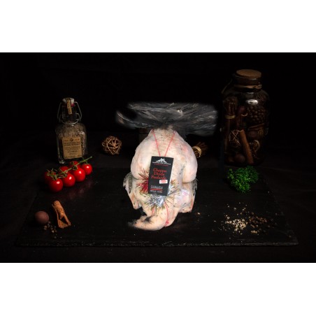 Dinde effilée fermière...